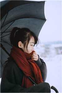 寒门枭龙陈澈