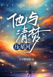 松锦大战清军兵力