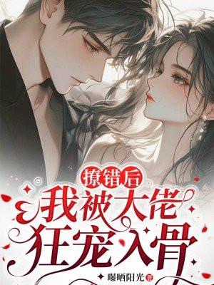 万界淘宝店TXT奇书网