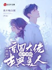 洛可可王宫
