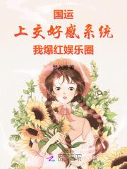 外科医生获得系统的