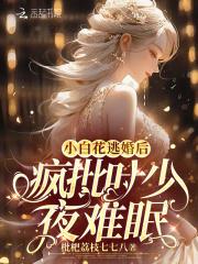 军阀争霸
