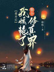女主叫宋昭昭