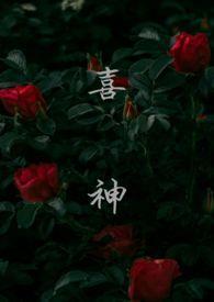 农家喜宝是锦鲤还是乌龟