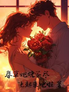 荒野直播之独闯天涯