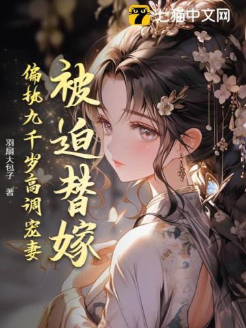十七岁你喜欢谁晋江