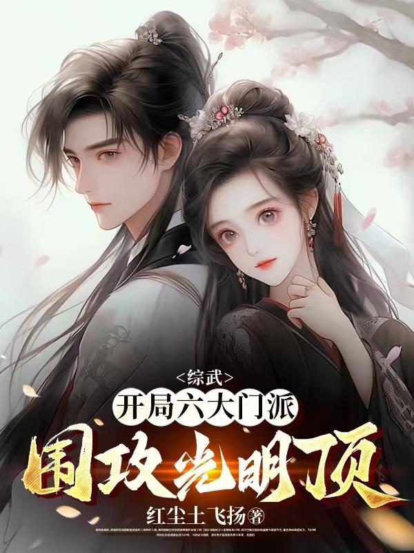 大明侠客传纯阳无极功