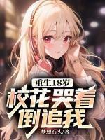 大明王朝1566之高翰文TXT