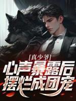 天命凡心无弹窗全文免费阅读