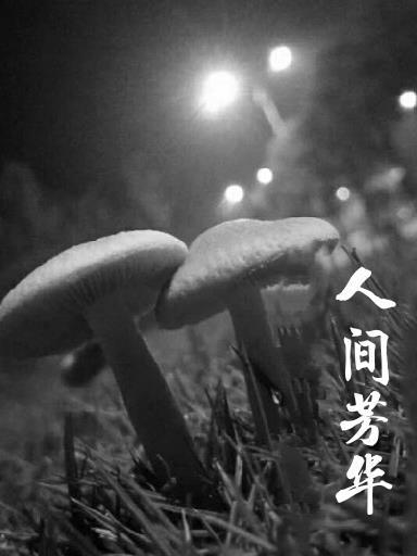 季医生免费阅读