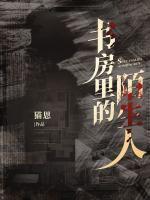 大理寺少卿的宠妻日常 作者婉兮