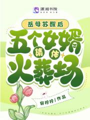 边关小医娘的种田日常凌锦岁
