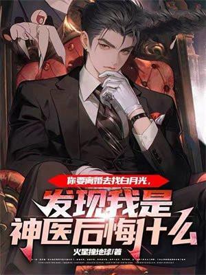 晚风免费阅读全文