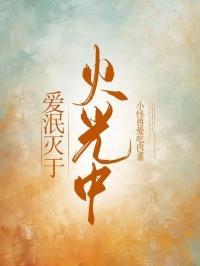 贺少追妻莫回头txt