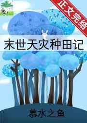 漂亮炮灰是什么文