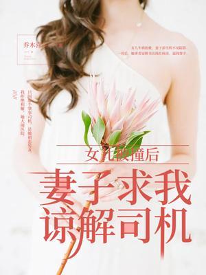 我成为了危险夫人晋江
