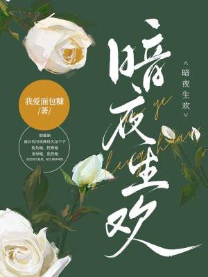锦衣镇山河贺六结局