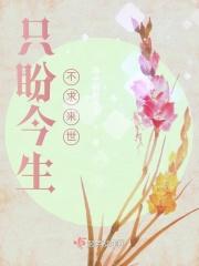 以太核心搭配攻略