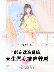 风云12招