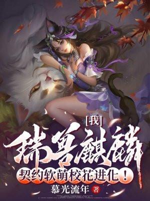 绝美总裁的贴身兵王叶沉