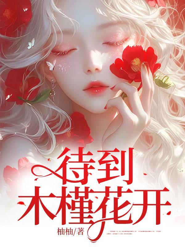 他是华夏守护神女主角是谁