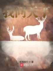 霍聿珩安心的爱情在线阅读