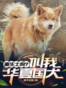 宋檀记事无防盗