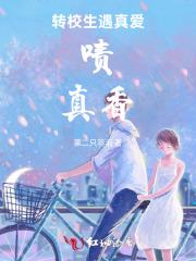 综影视炮灰的人生女主后宫