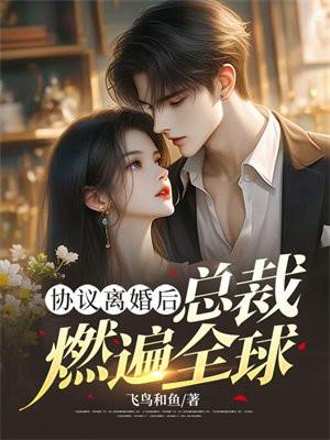 碧蓝航线之提督又被拐跑了