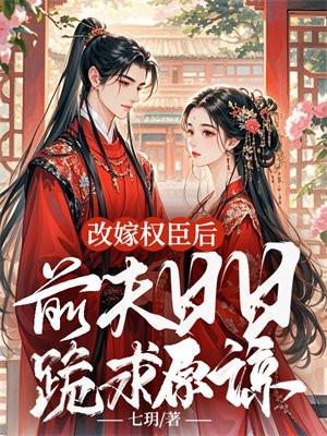 圣母婊主角