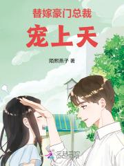 乡村傻瓜