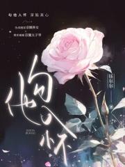 帝师是个坑沙雕动画