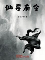 村野傻医TXT