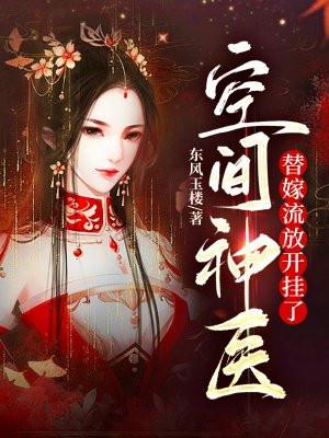 男主叫盛司南