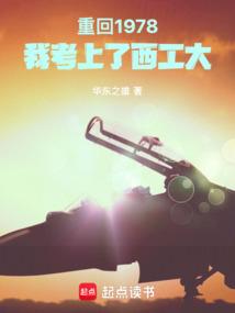 开局吃恶魔果实免费阅读