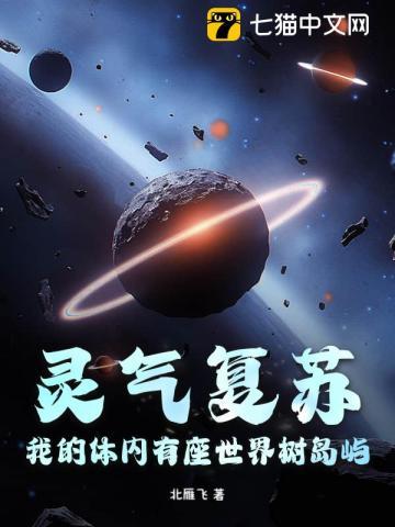 农家少年科举翻身路的