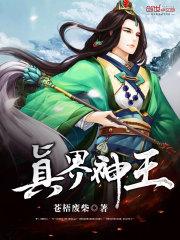 休夫灭妾重生主母杀疯了