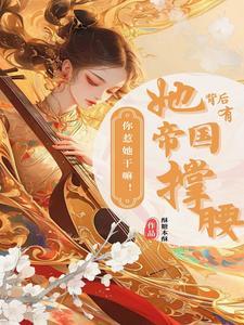 傅时律盛又夏林音全文免费阅读