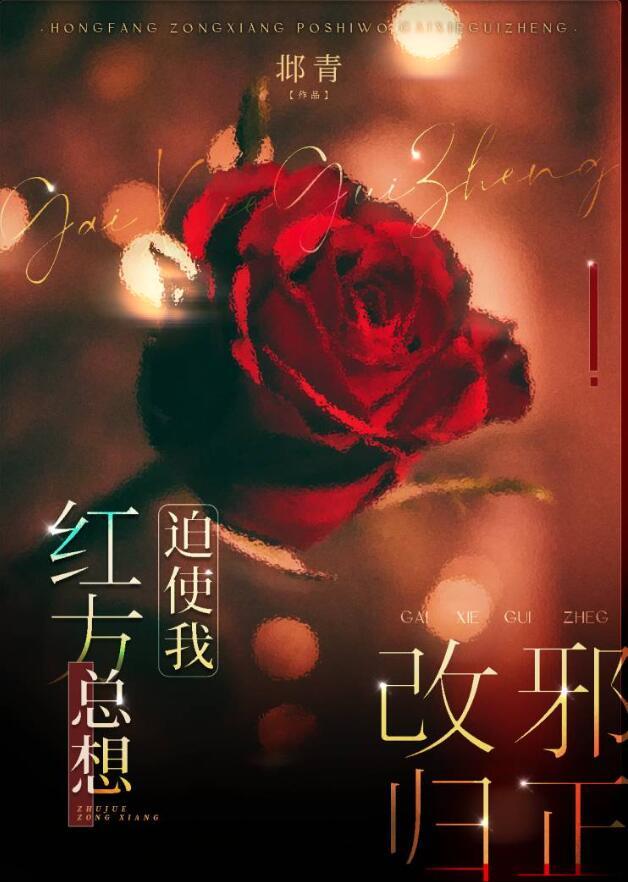 赴火全文免费阅读最新