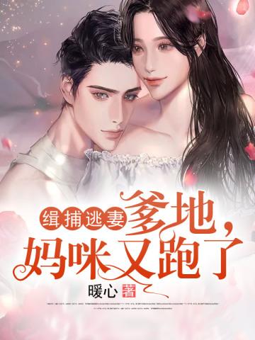 丑妻言情