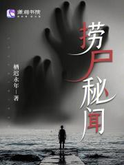 被全网关注了我