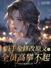 巅峰官途一生