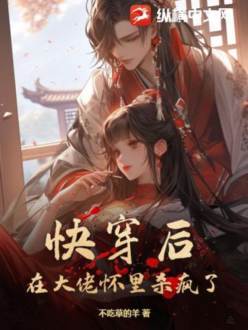 明月照何处