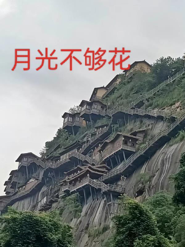 庆余年电视剧李沁张若昀