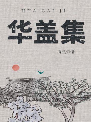 太阳小学的孩子们作者