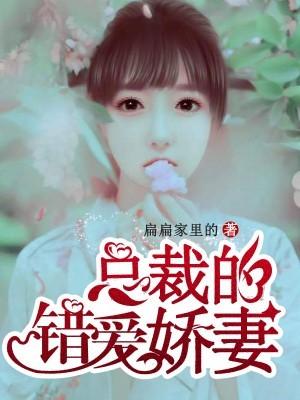 穿越火影成为鸣人兄弟