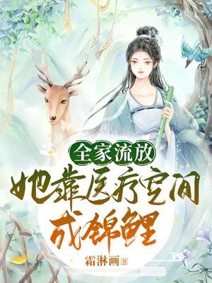 我是神医不是贼