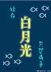 莫夫人求你别改嫁免费阅读