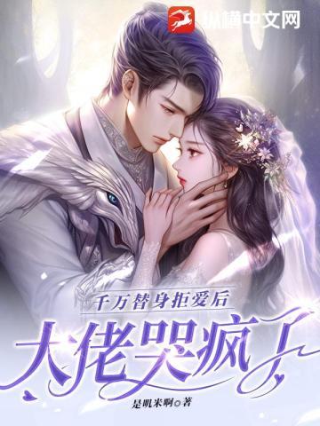 贺西洲沈晚星最新章节更新内容