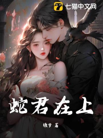沈晚星女主